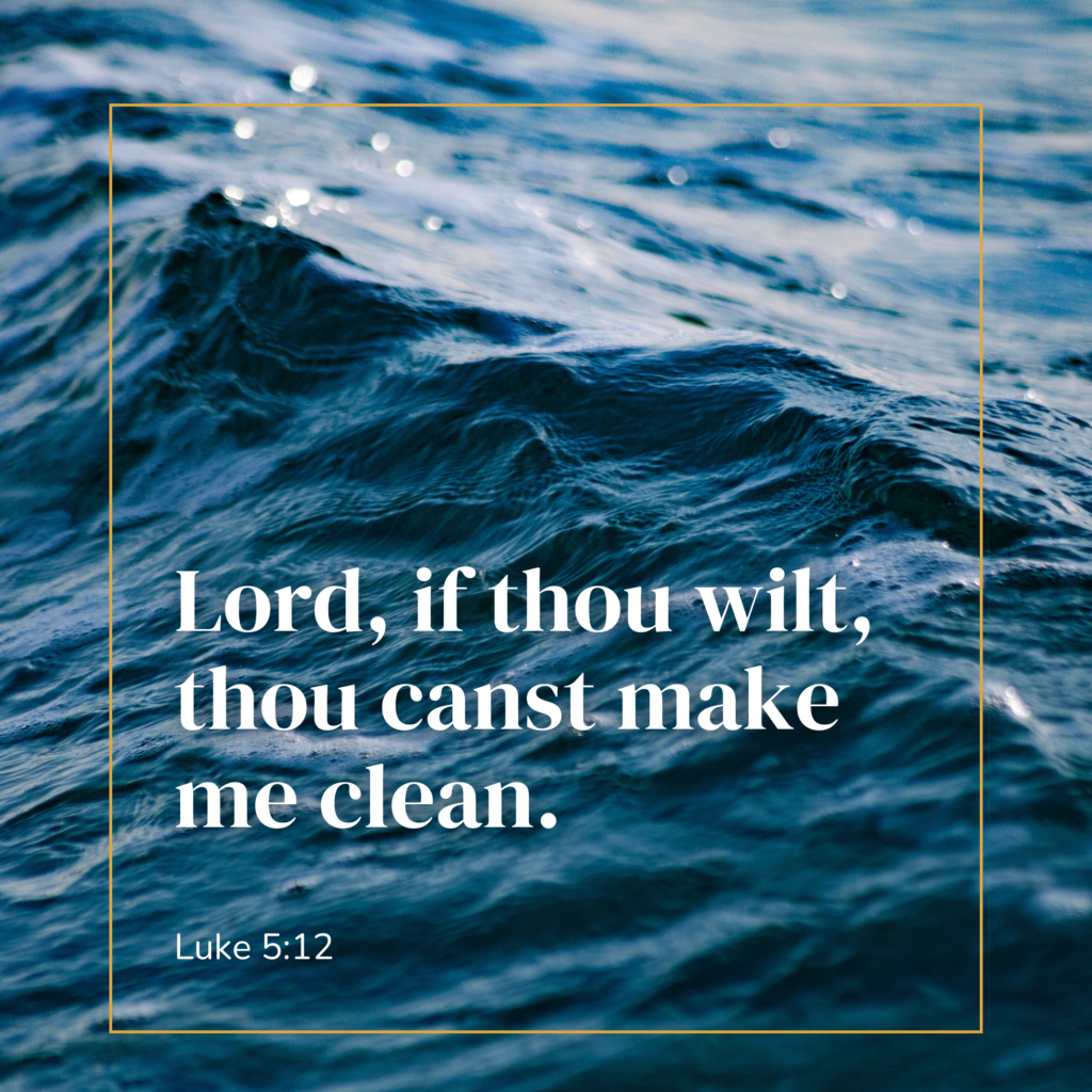 Lord, if thou wilt, thou canst make me clean.