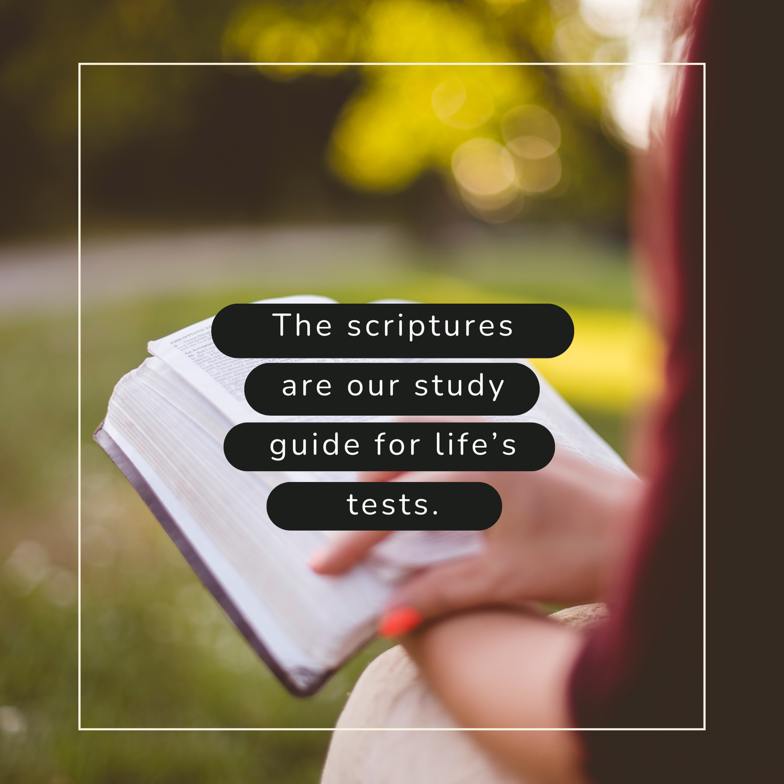 The Scriptures are our study guide for life's tests.