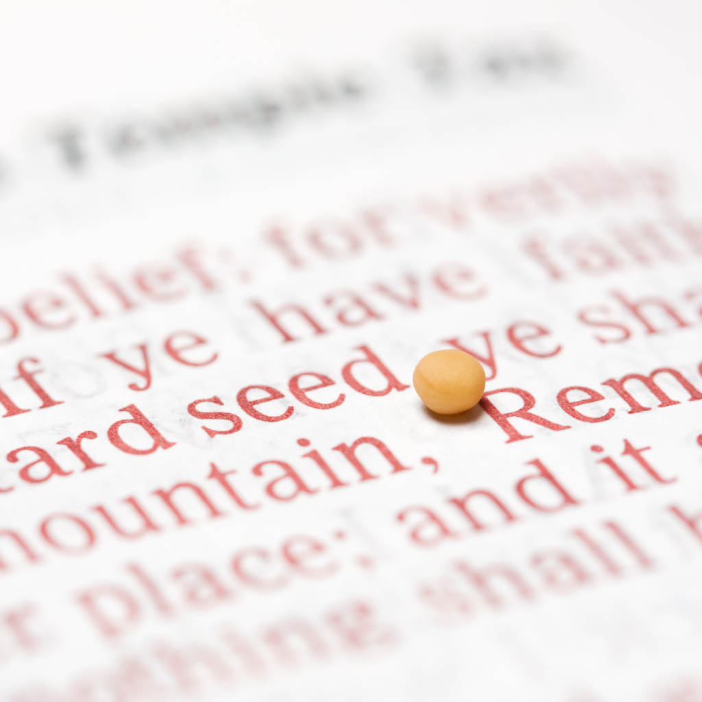 Mustard Seed